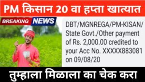 विसावा हप्ता कधी येणार असे चेक करा अपडेट्स | Pm Kisan 20th installment 2015 |